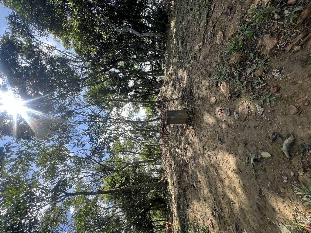 Photo №2 of Zhenlishandongbeifeng