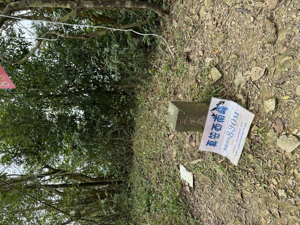 Photo №9 of Zhenlishanxinanfeng