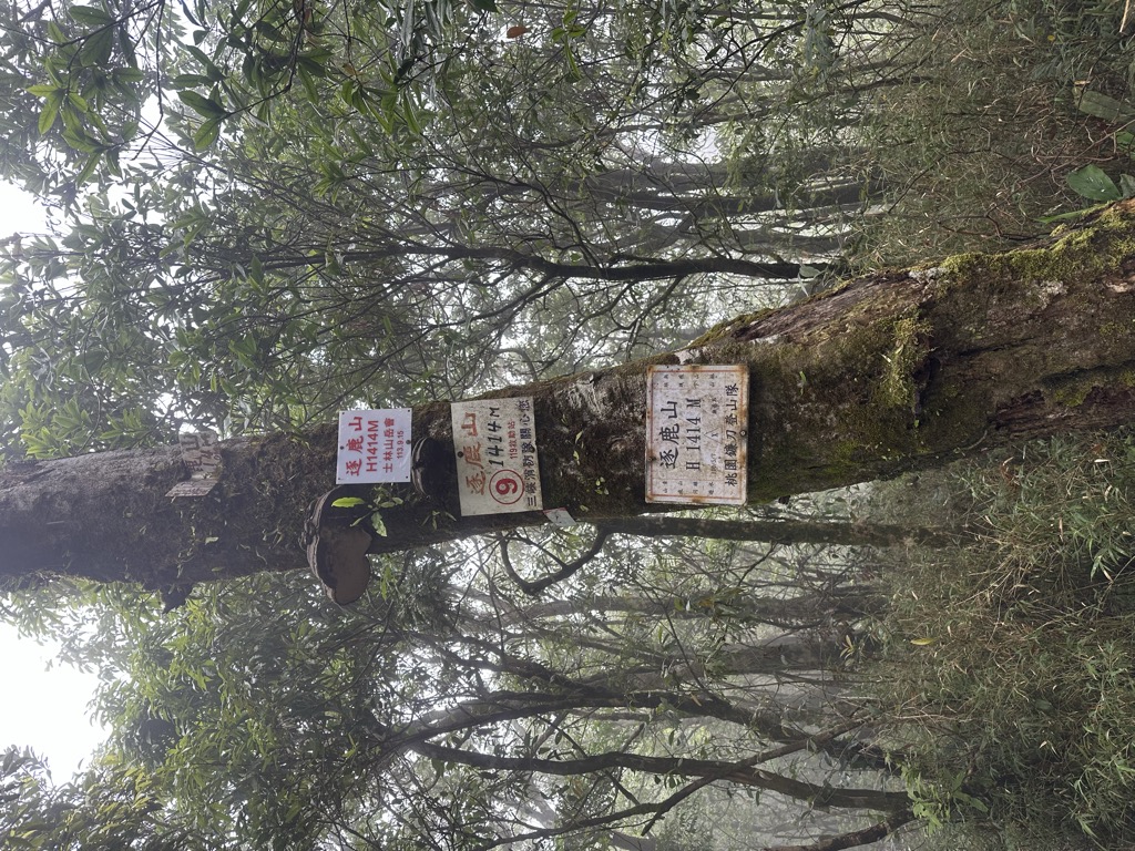 Photo №1 of Zhulu Mnt