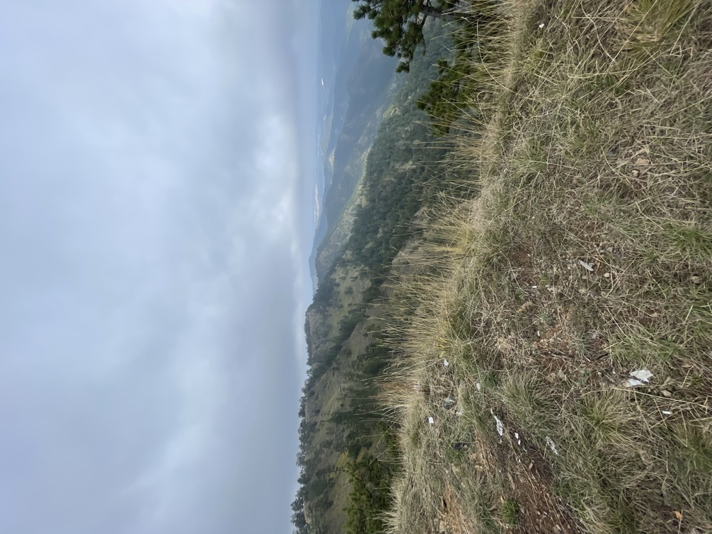 Photo №2 of Zidine