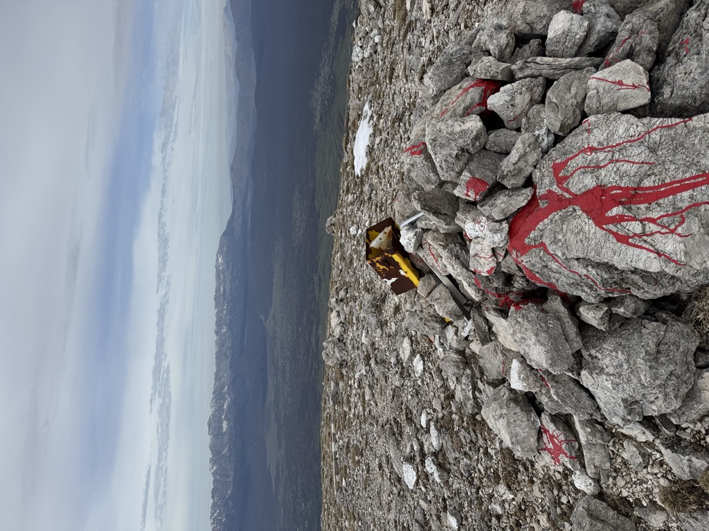 Photo №2 of Zimomor