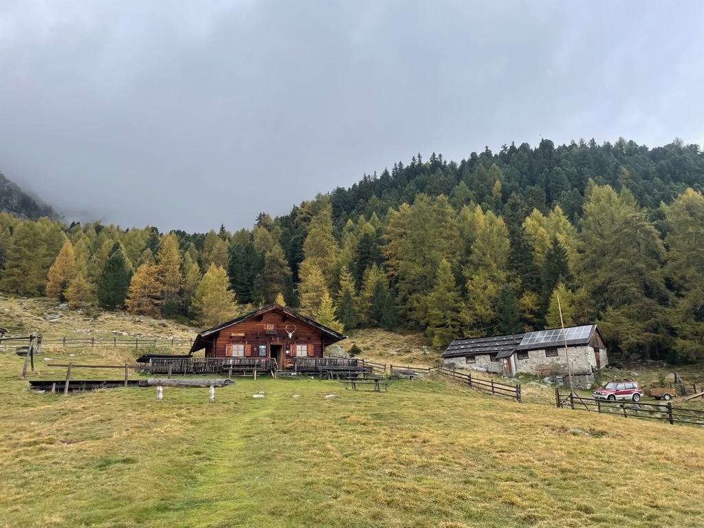 Photo №5 of Zirmaitalm