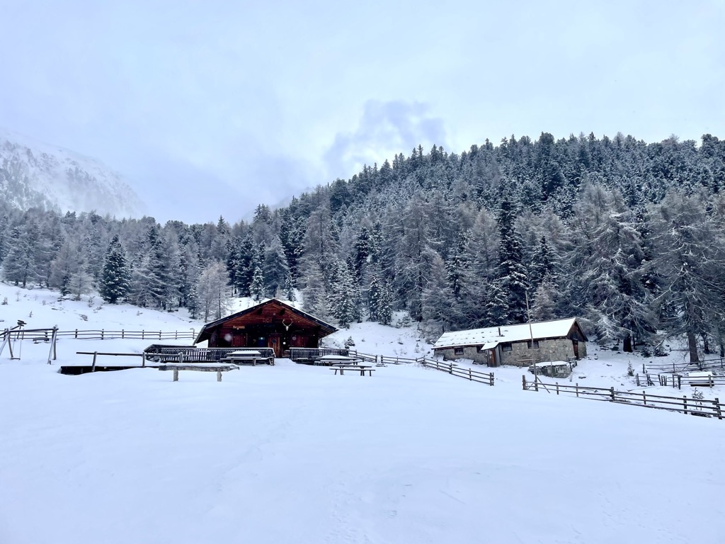 Photo №4 of Zirmaitalm