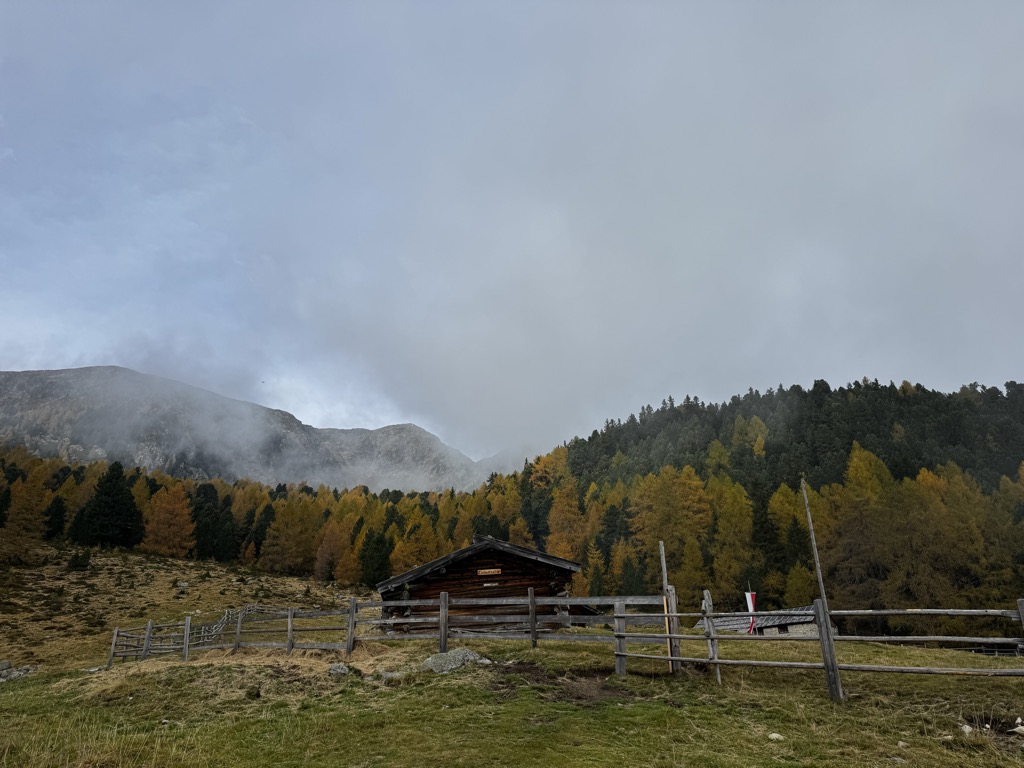 Photo №2 of Zirmaitalm