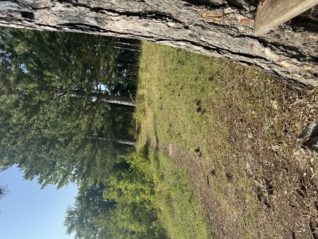 Photo №2 of Zlatar