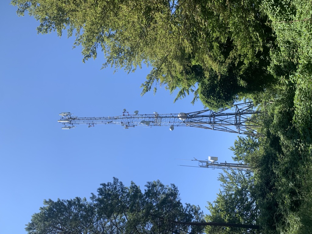 Photo №3 of Zlatar