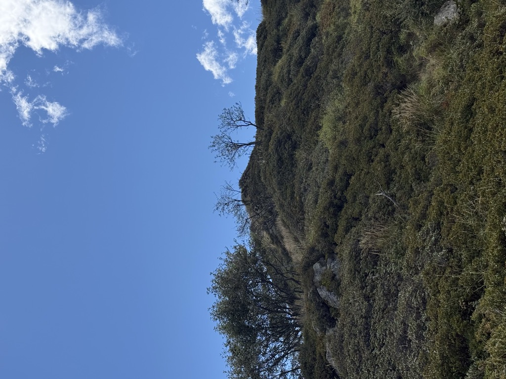 Photo №1 of Zottone