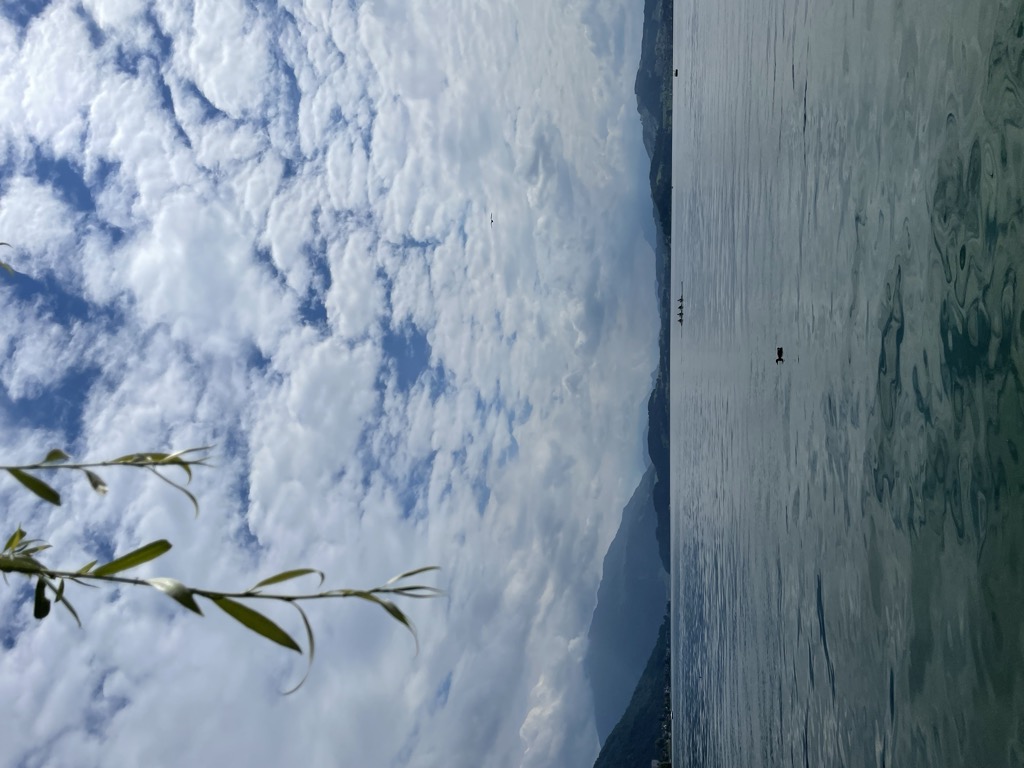 Photo №2 of Zugersee