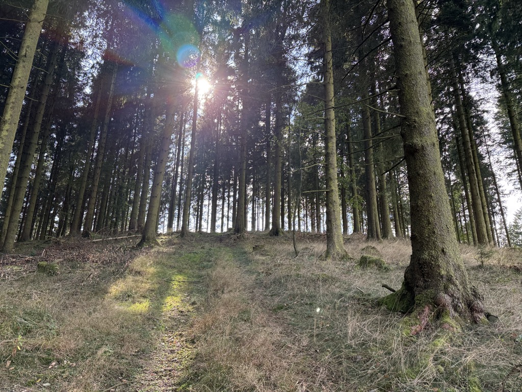 Photo №2 of Zwergberg