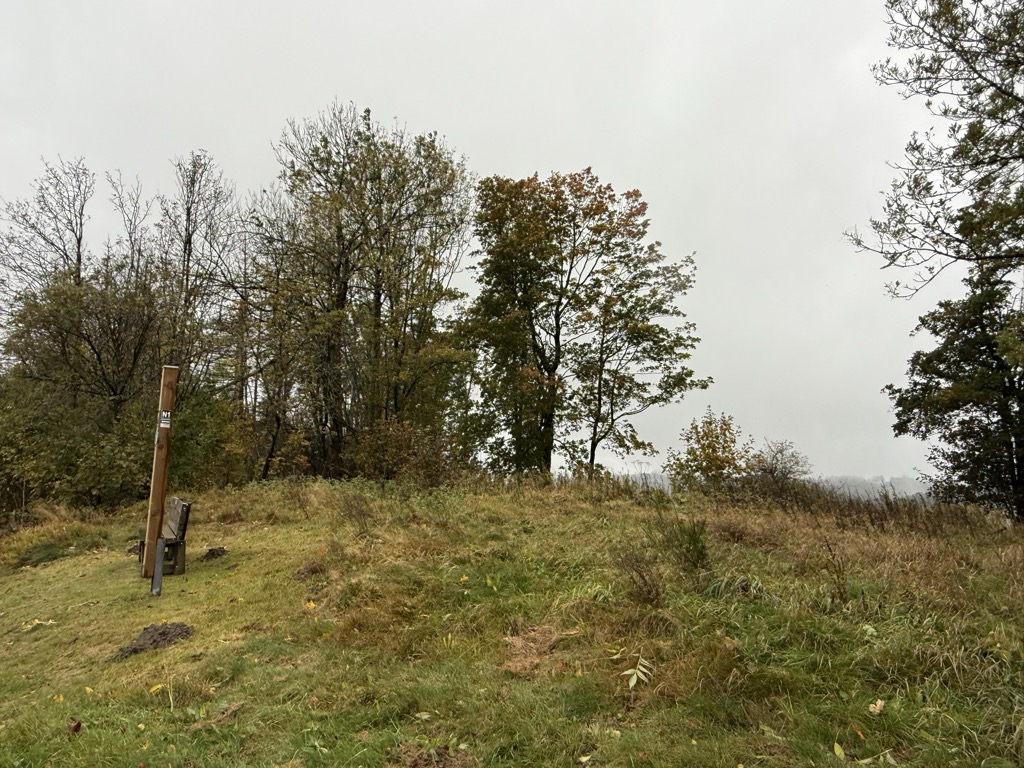 Photo №2 of Zwistkopf