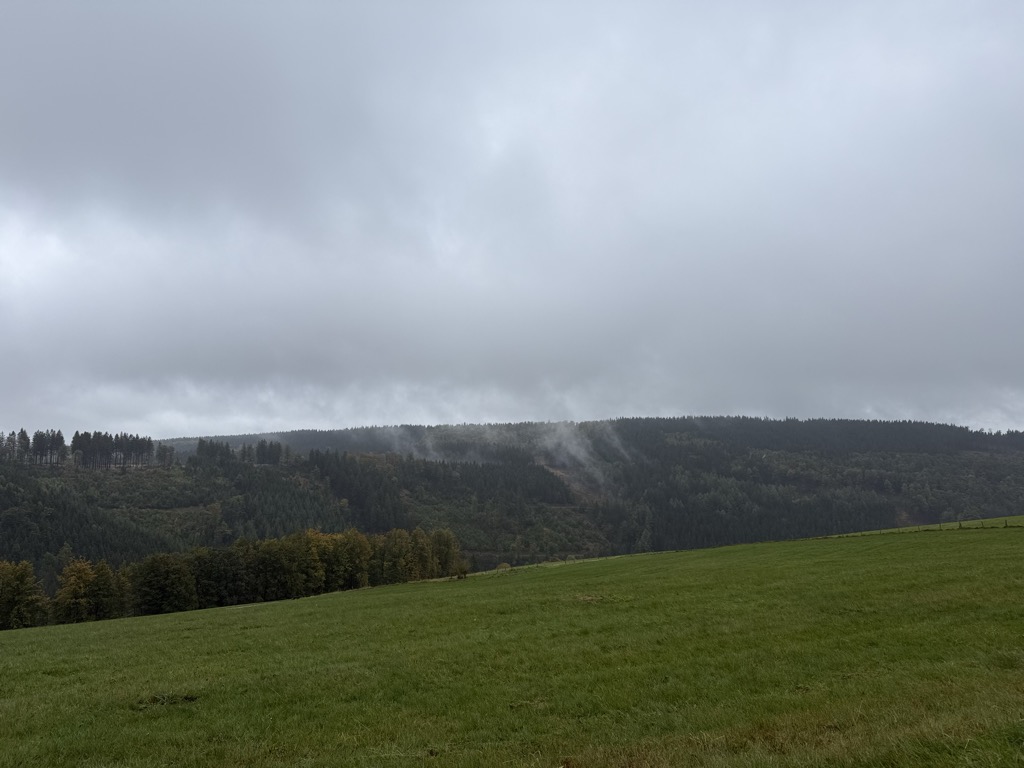 Photo №3 of Zwistkopf