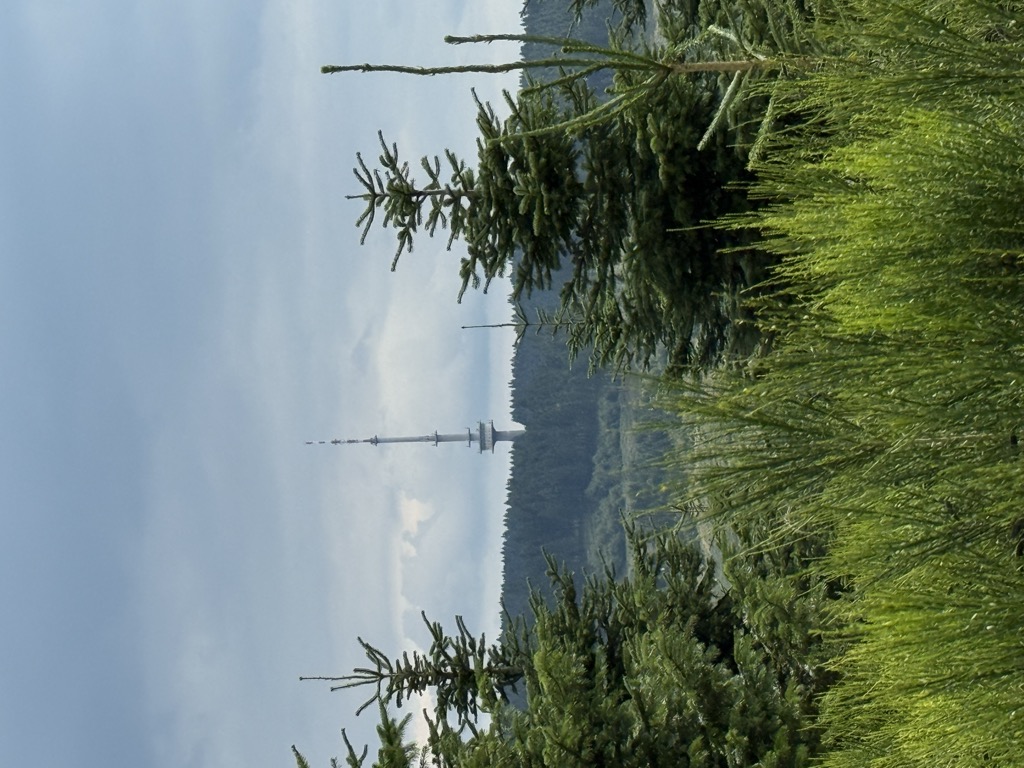 Photo №2 of Zwoellenberg