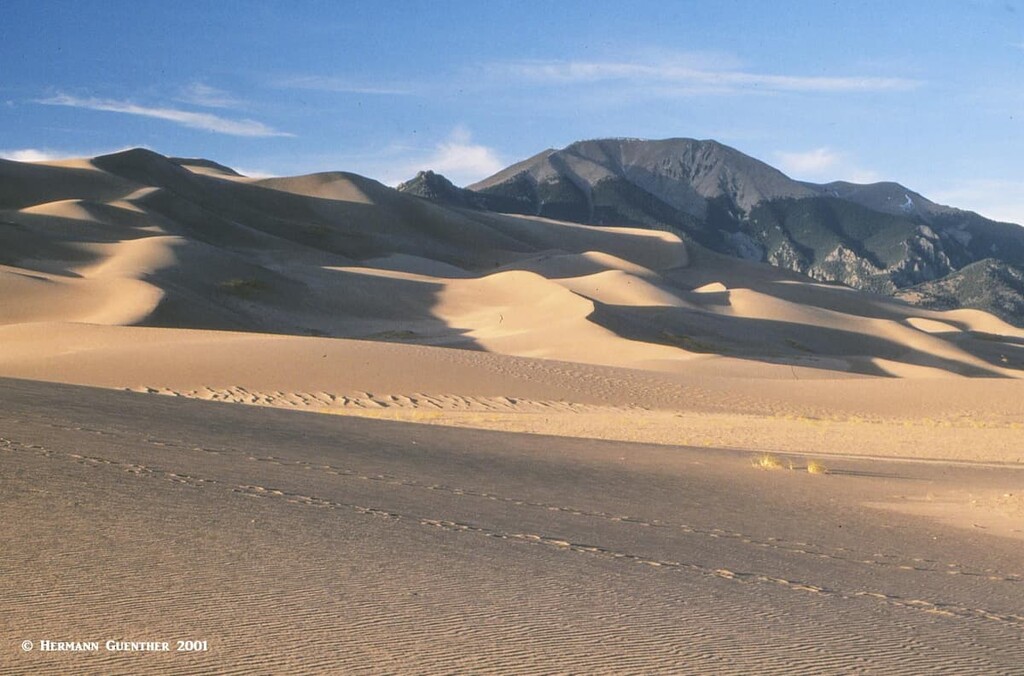 Great Sand Dunes, Mount Herard