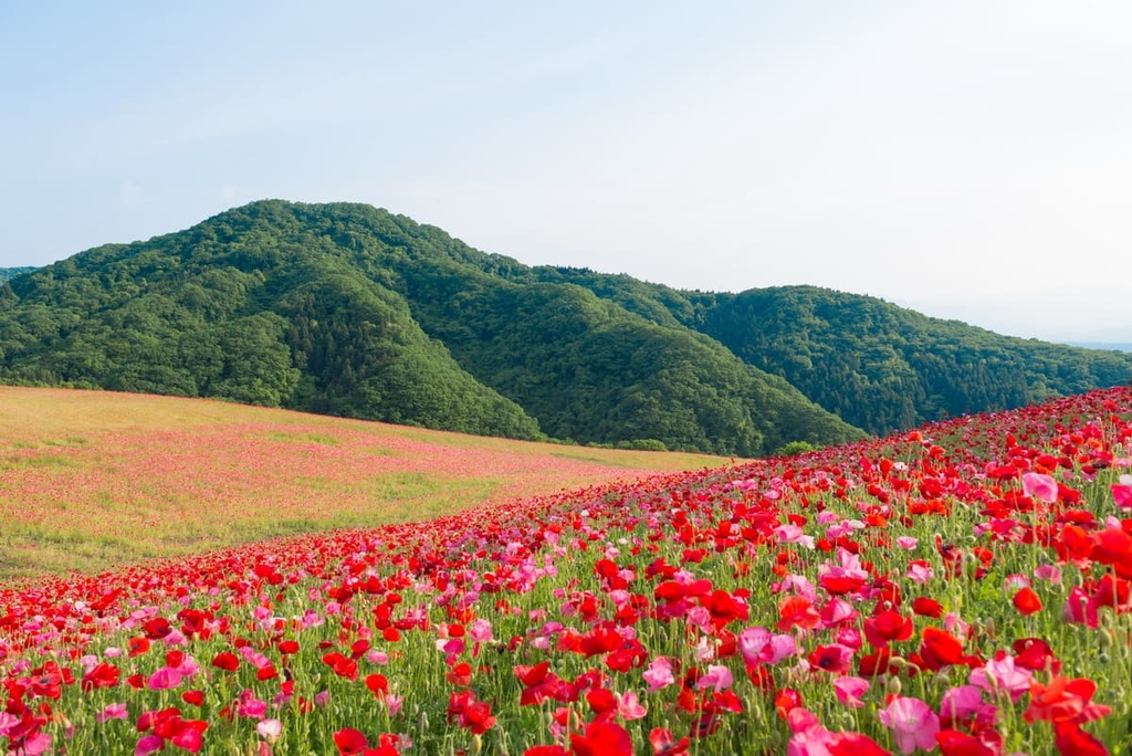 Chichibu, Saitama, Tokyo