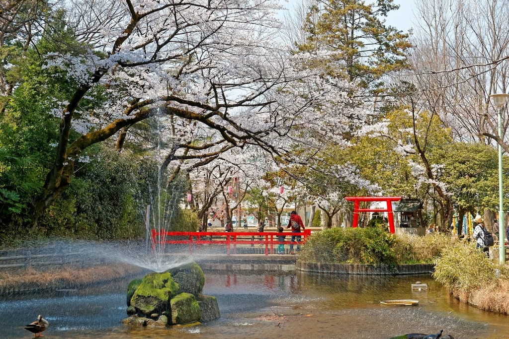 Yono Park, Saitama, Tokyo