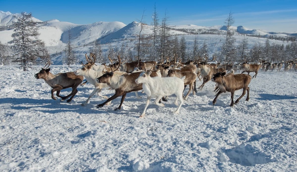 Sakha Republic Mountains