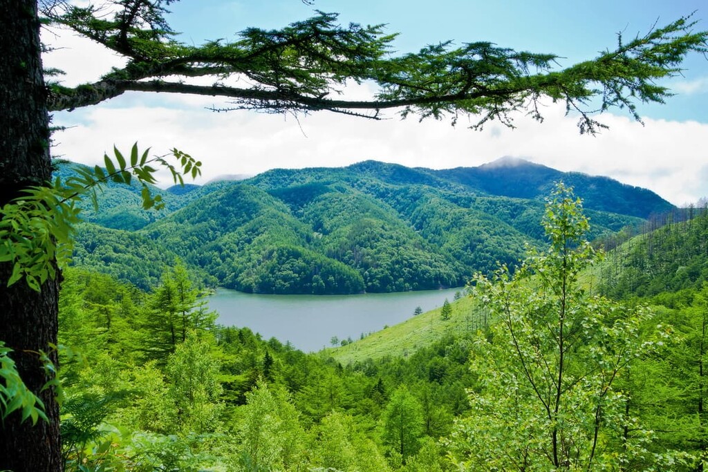 Forest Lake, Sakhalin Region, Russia