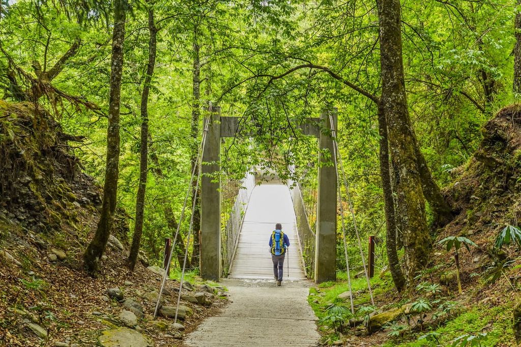 Wuling Suspension Bridge To Taoshan Waterfall, Taiwan Sakura Salmon Ecological Reserve