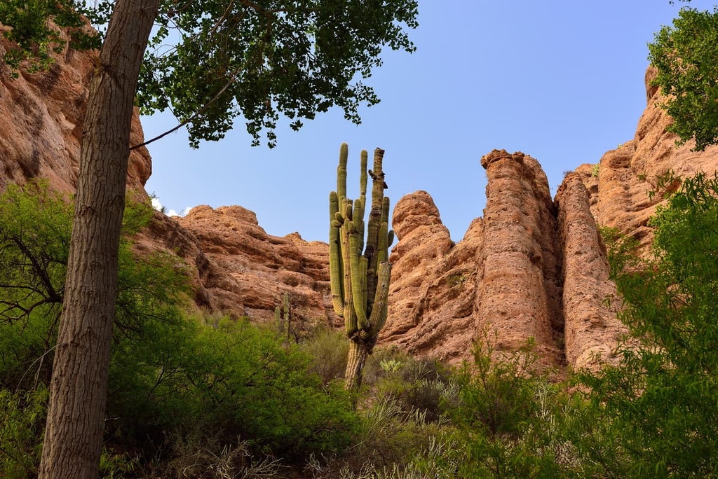 San Carlos Reservation