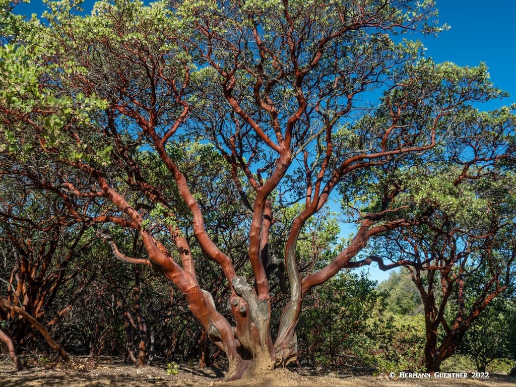 San Diego County, California