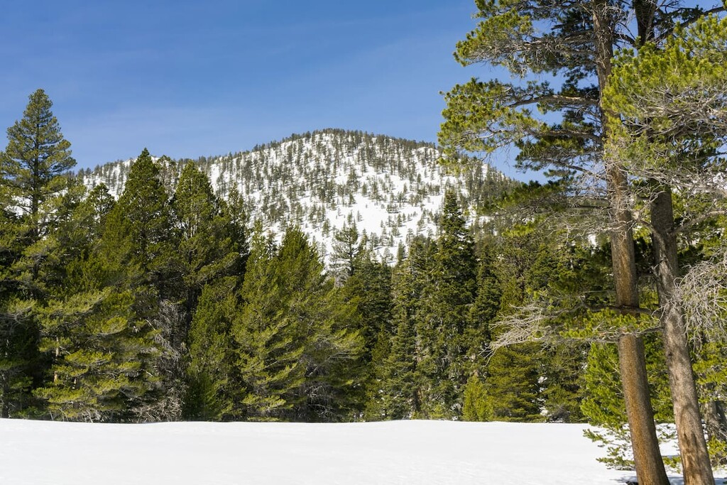 San Jacinto State Park, California