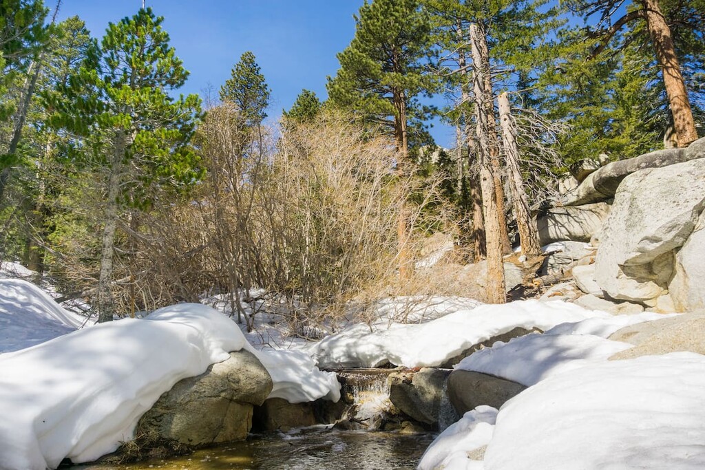 San Jacinto State Park, California