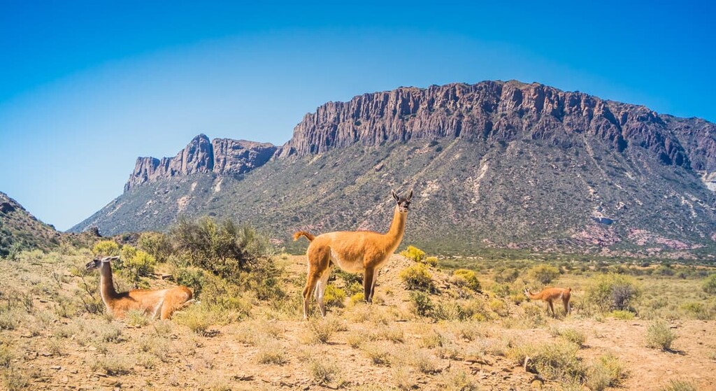 Ischigualasto, San Juan, Argentina