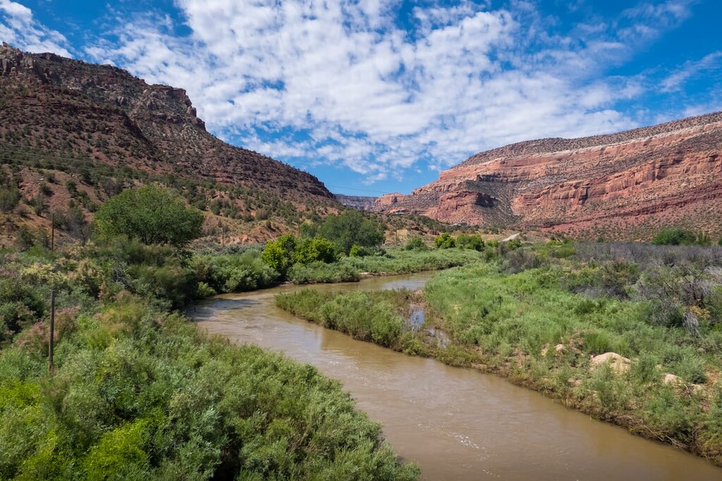 Dolores River and Canyon, San Juan National Forest, Colorado