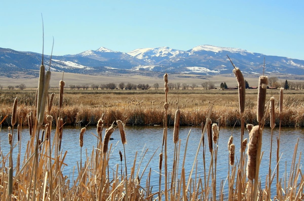 San Luis Valley Field, Colorado