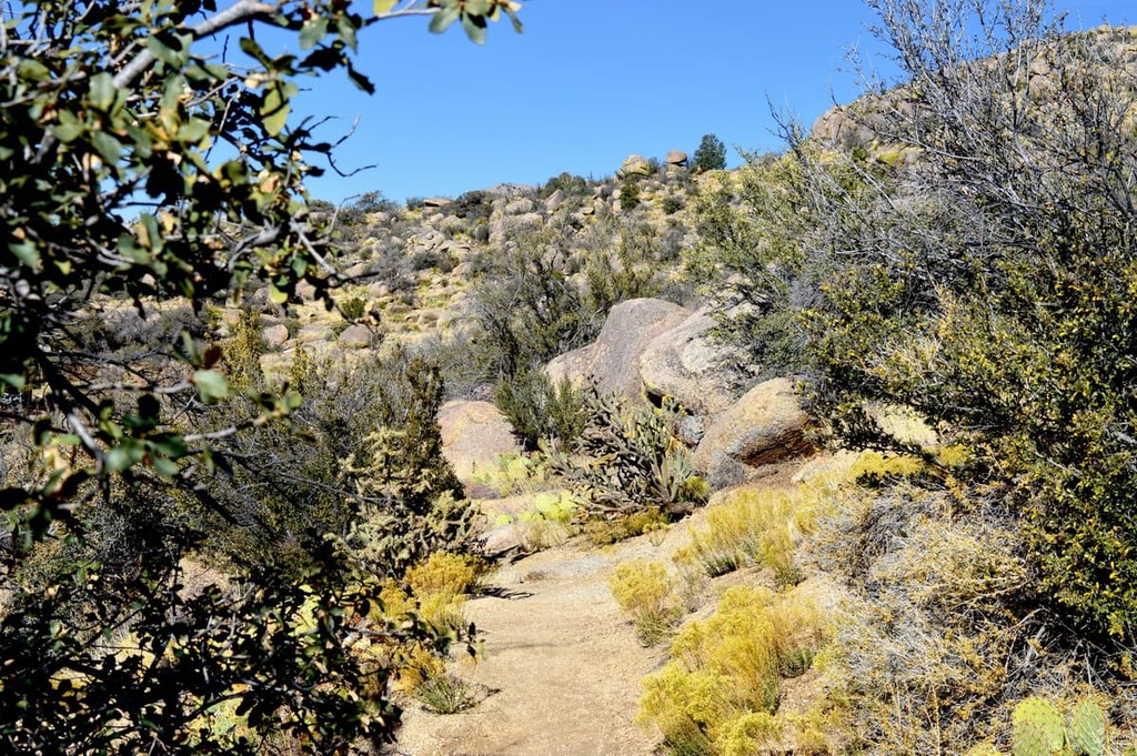 La Luz Trail, Sandia Mountains, New Mexico