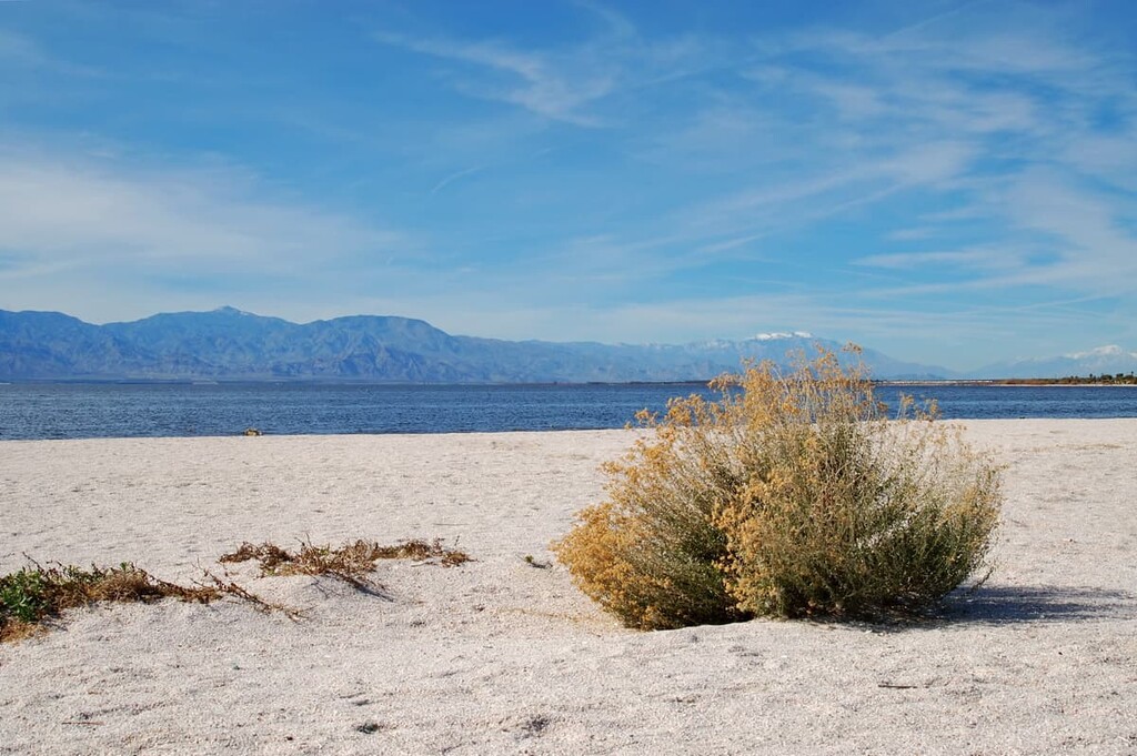 Salton Sea, Santa Rosa, California