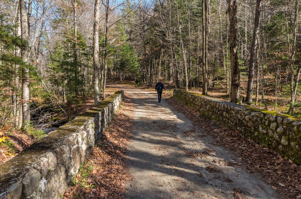 Hiking, Santanoni Mountains, Adirondacks, New York
