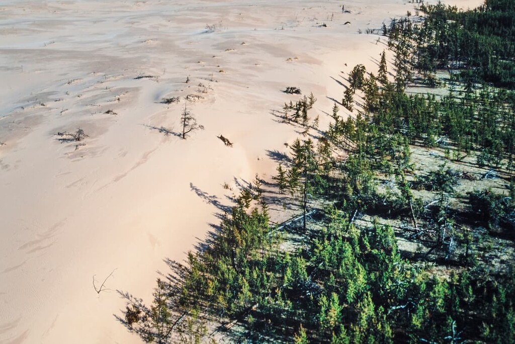 Athabasca Sand Dunes Provincial Park, Saskatchewan