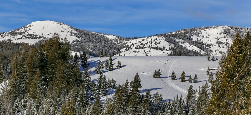 Sawtooth National Forest, Idaho