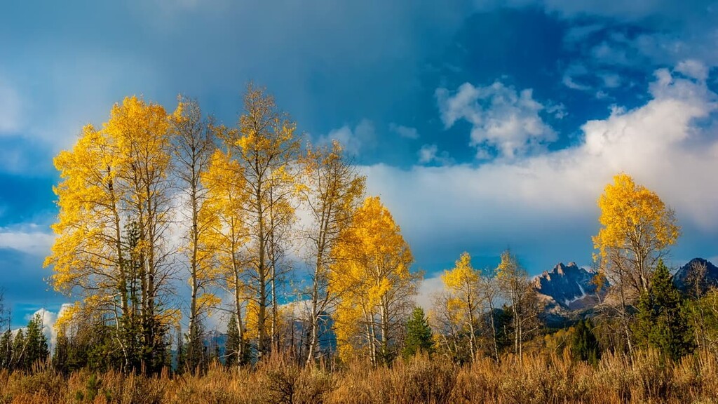 Sawtooth National Forest, Idaho