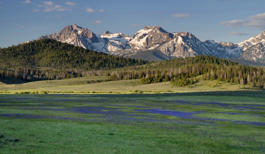 Sawtooth National Forest