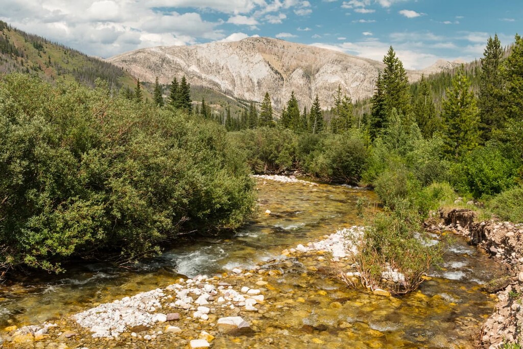 Green Fork Creek, Scapegoat Wilderness Area, Montana