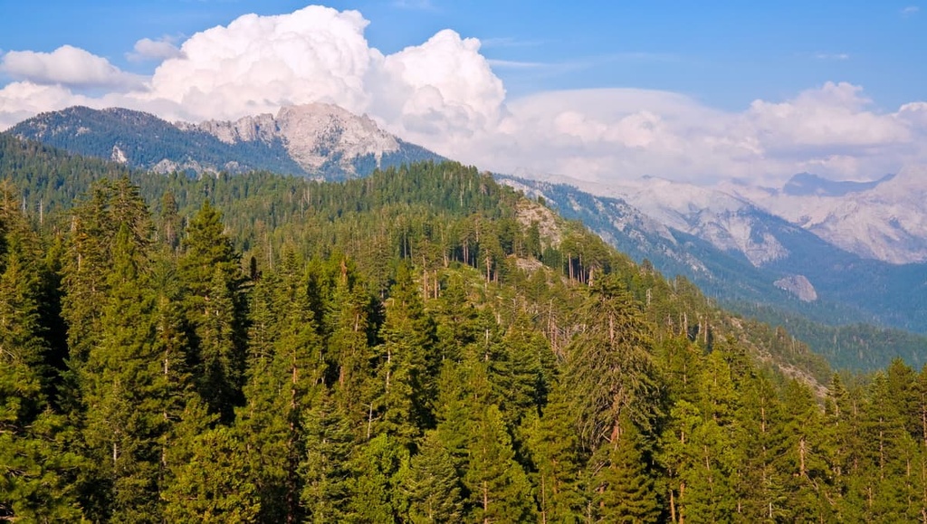 Sequoia National Forest, California