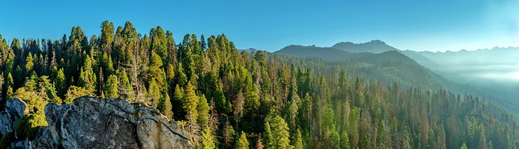 Sequoia National Forest, California