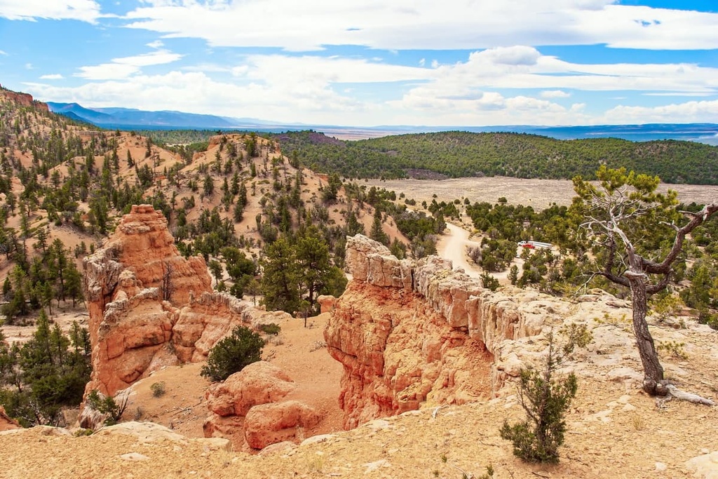 Losee Canyon, Sevier Plateau, Utah