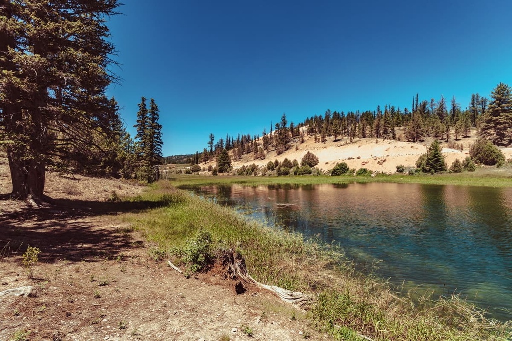 Sevier Plateau, Utah