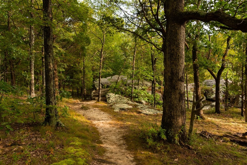 Shawnee National Forest, Illinois