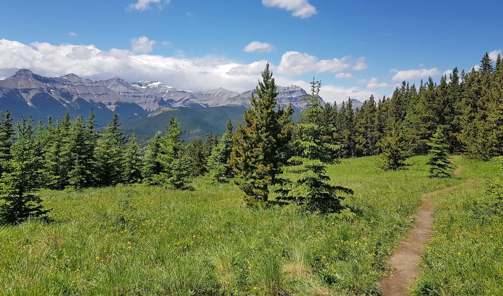 Mount Hoffman Trail, Sheep River Provincial Park, Alberta