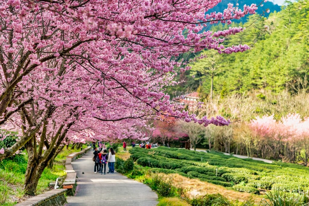 Shei-Pa National Park