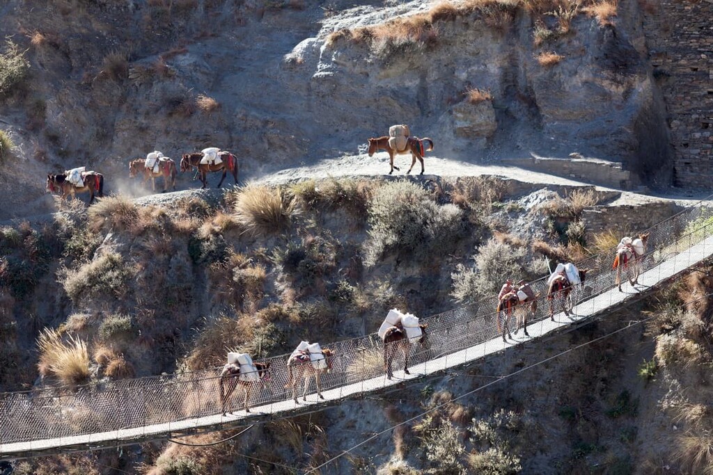 Trek, Shey Phoksundo National Park