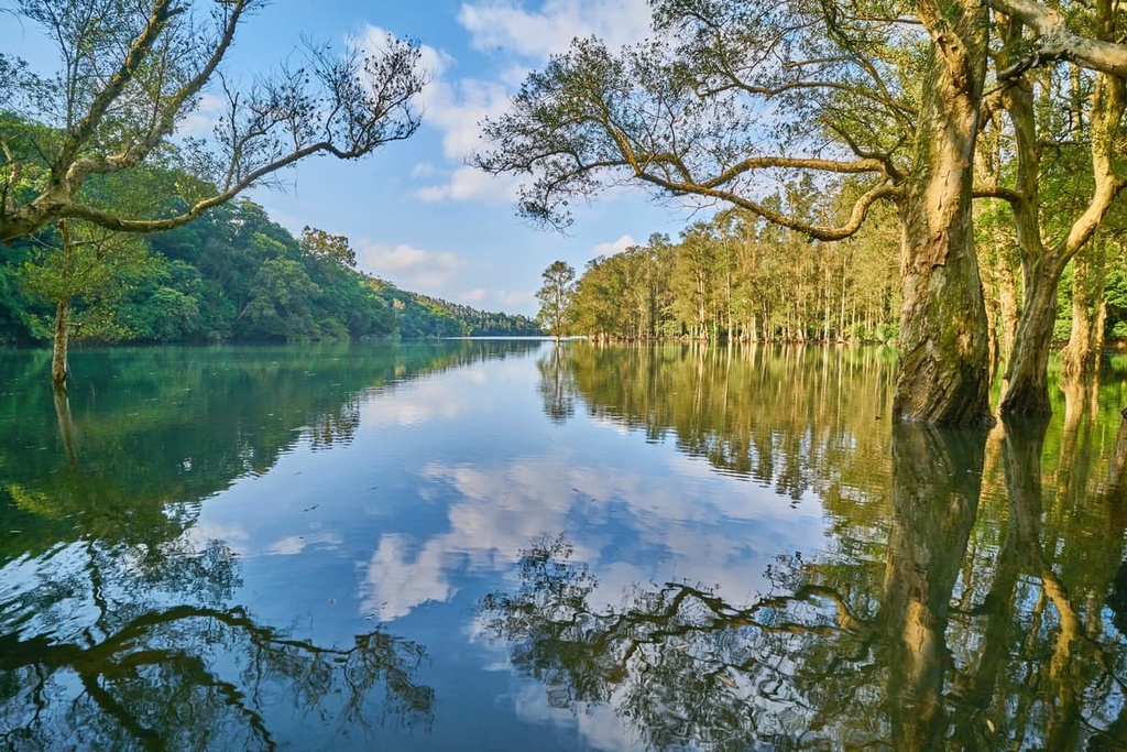 Shing Mun Country Park, China