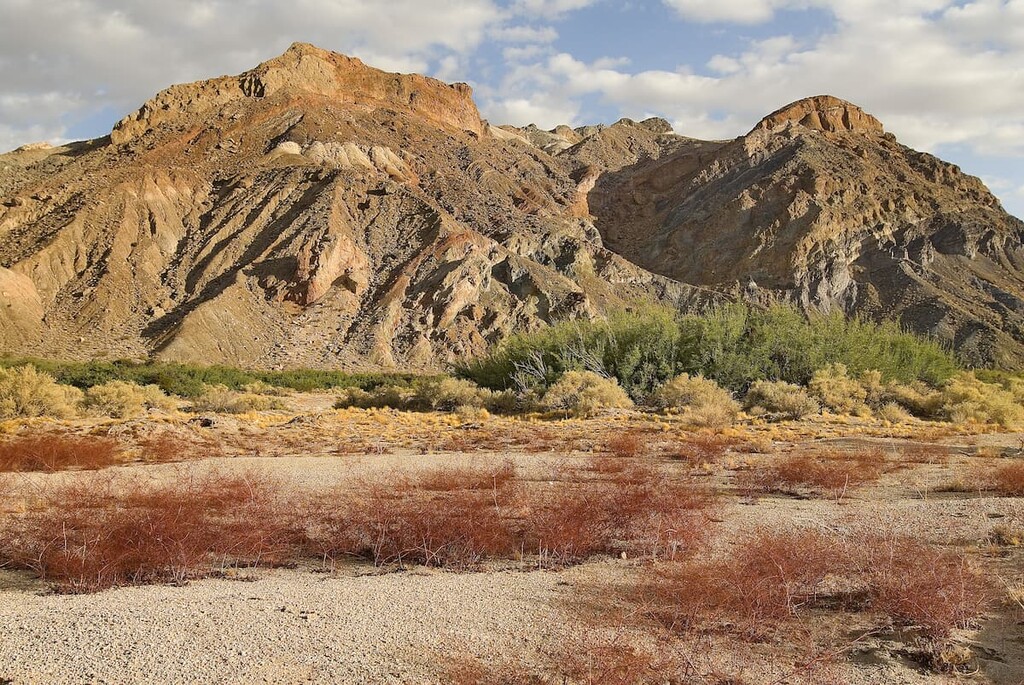 Amargosa River Wilderness Area in Shoshone Mountains, Nevada