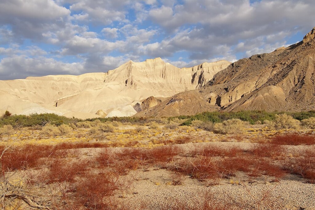 Amargosa River Wilderness Area in Shoshone Mountains, Nevada