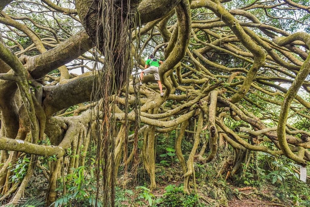 Shoushan Hiking Trail, Shoushan National Nature Park, Taiwan