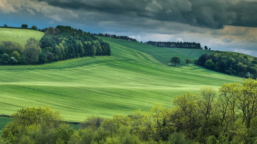 Wenlock Edge, Shropshire Hills Area of Outstanding, England